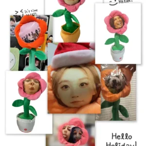 Customized Photo Christmas Birthday Gift Musical Singing Dancing Sunflower Toys 120 Songs Repeat Talking Record Speaking Toy - Image 2